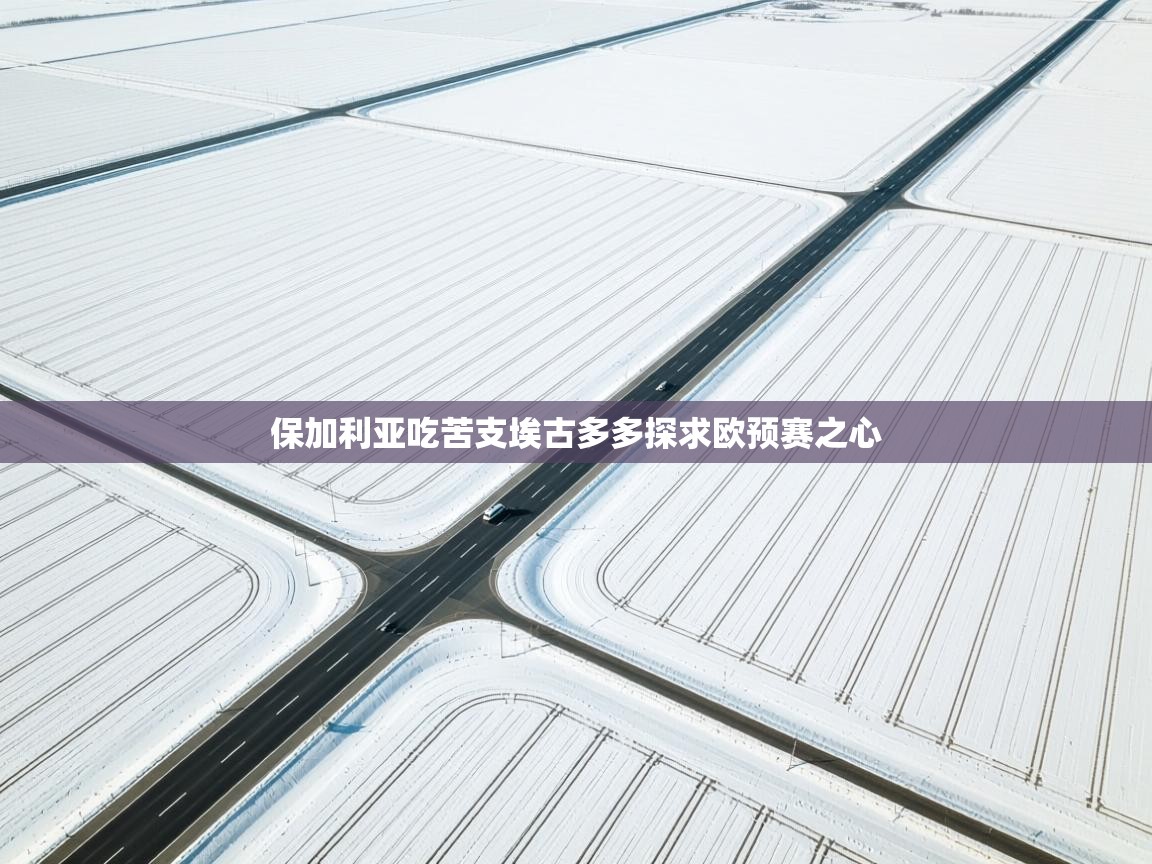 保加利亚吃苦支埃古多多探求欧预赛之心