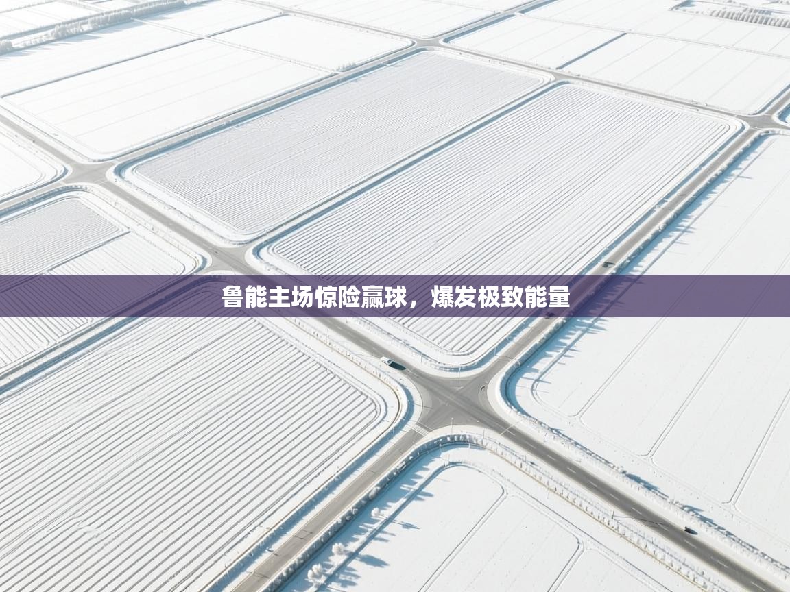 鲁能主场惊险赢球，爆发极致能量  第1张